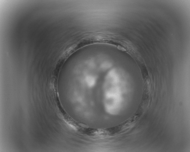 X0000067480415200604101234