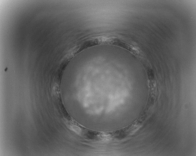 X0000067480419200604101234