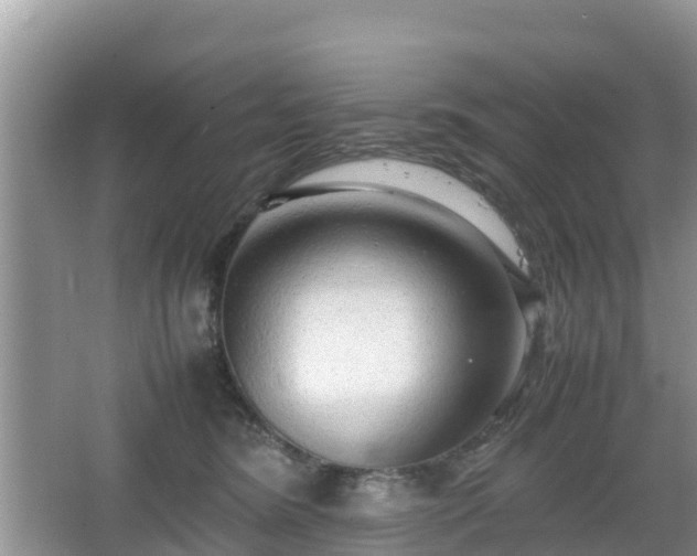 X0000067480420200604101234