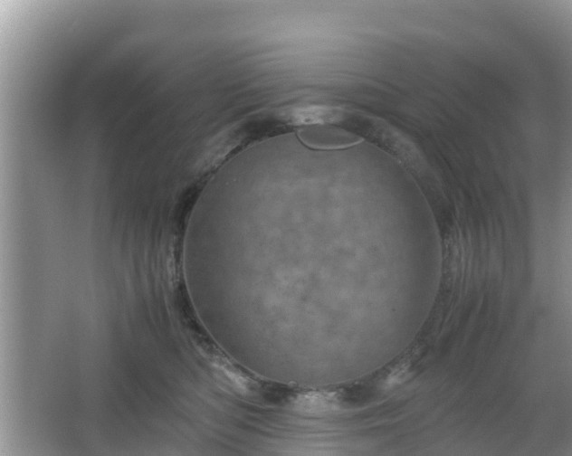 X0000067480422200604101234