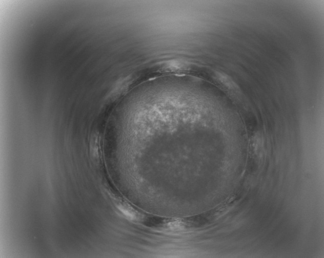 X0000067480423200604101234