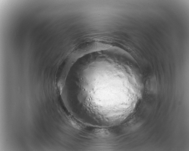 X0000067480424200604101234