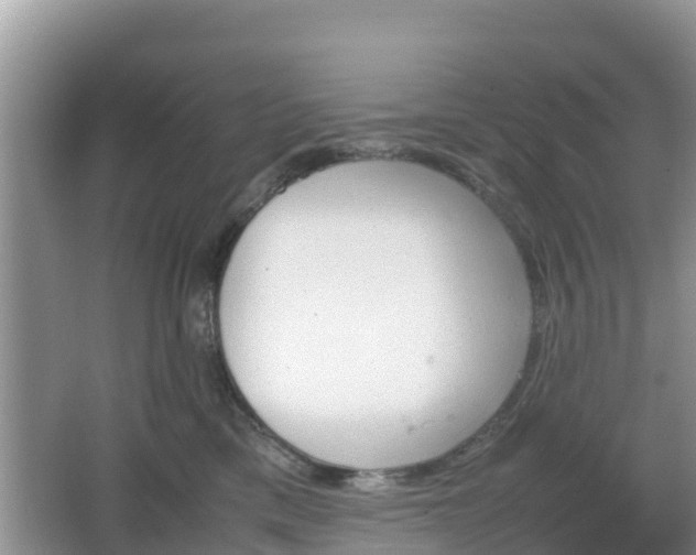 X0000067480425200604101234