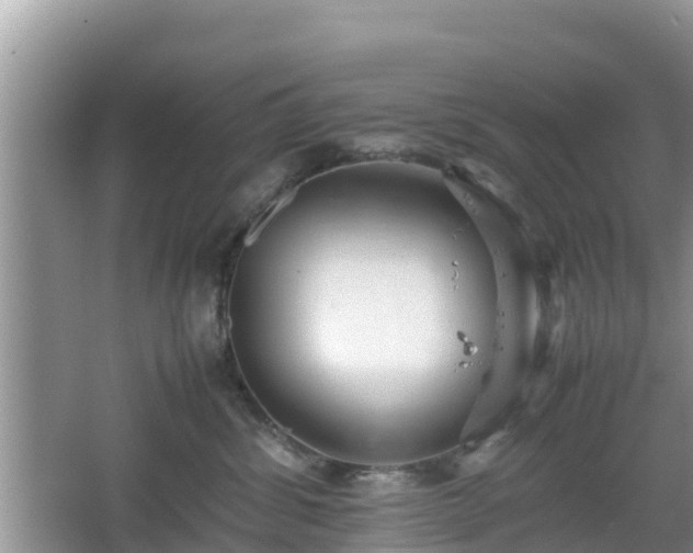 X0000067480428200604101234