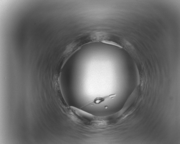 X0000067480429200604101234