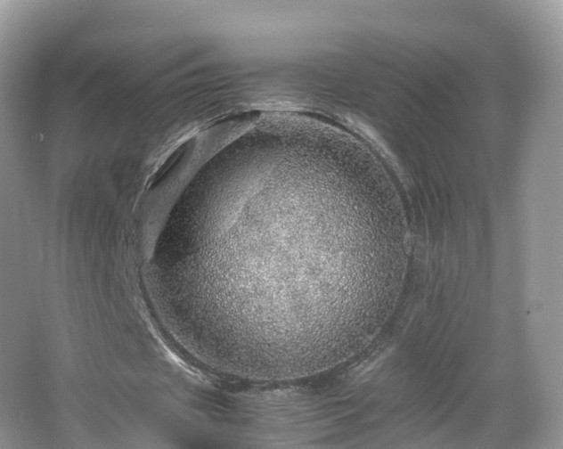 X0000067480433200604101233