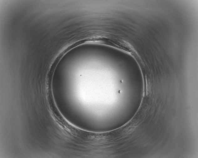 X0000067480435200604101233