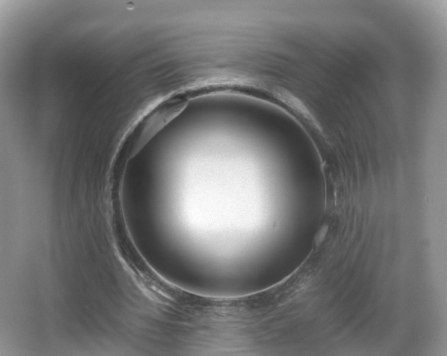 X0000067480436200604101233