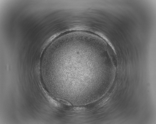 X0000067480437200604101233