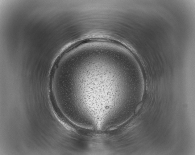 X0000067480438200604101233