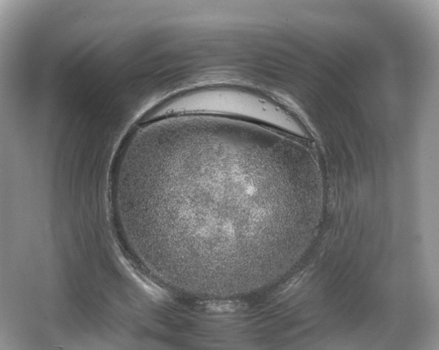 X0000067480439200604101233