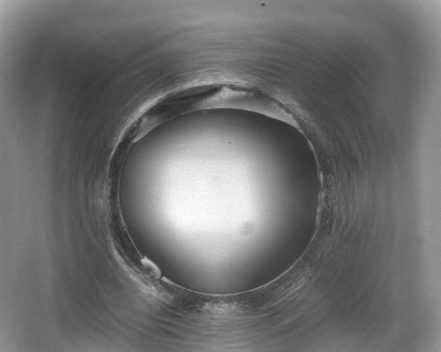 X0000067480440200604101233