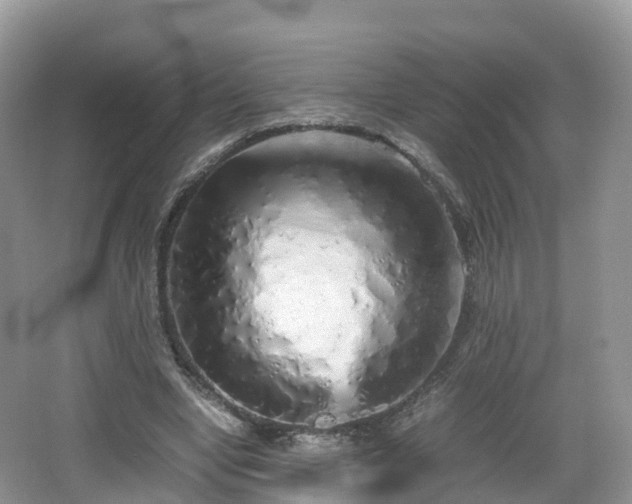 X0000067480442200604101233