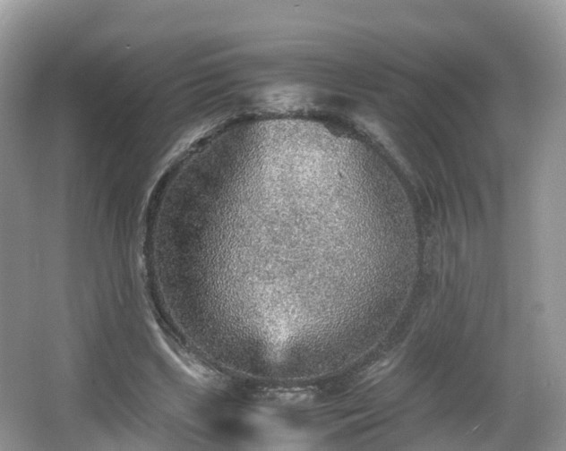 X0000067480443200604101233