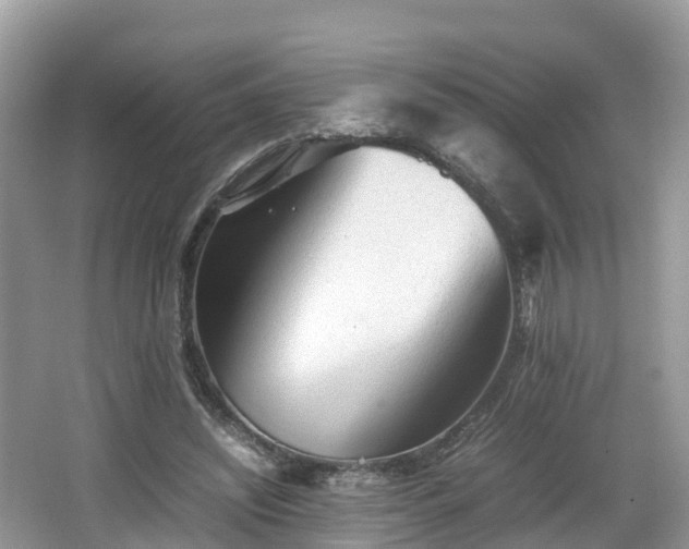 X0000067480444200604101233