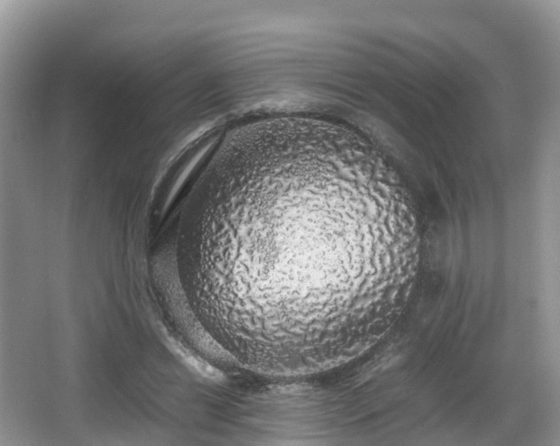 X0000067480446200604101233