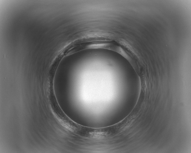 X0000067480448200604101233