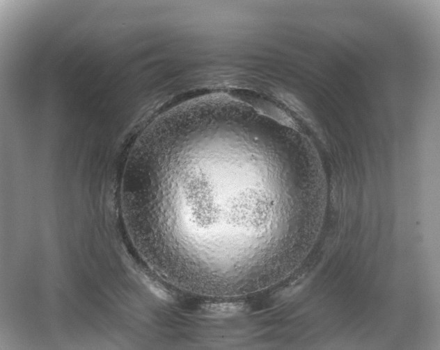 X0000067480449200604101233