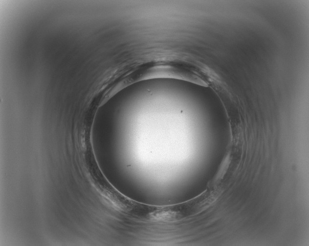 X0000067480452200604101233