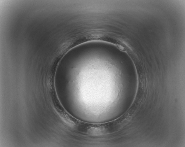 X0000067480455200604101233