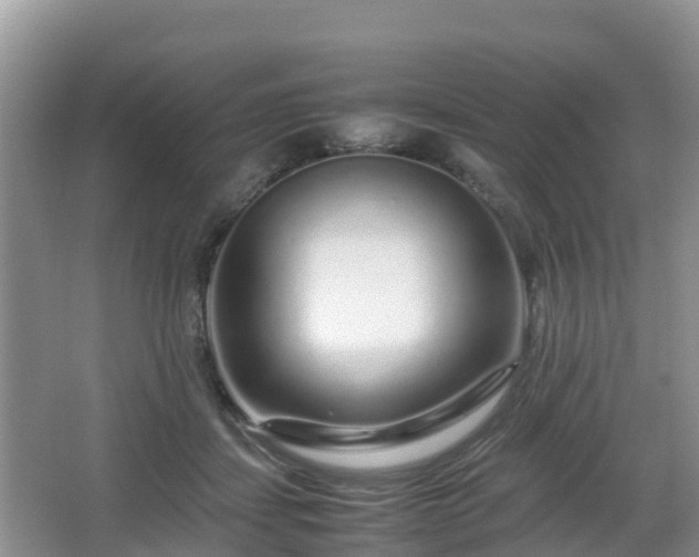 X0000067480459200604101233