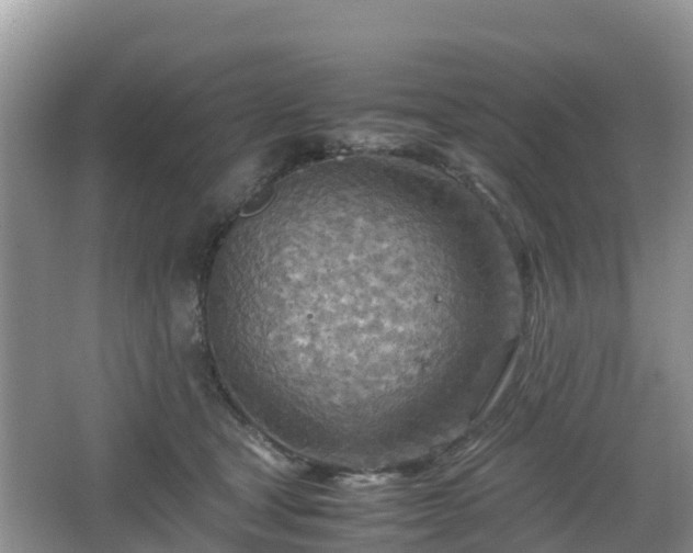 X0000067480465200604101234