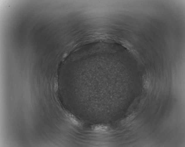 X0000067480471200604101234