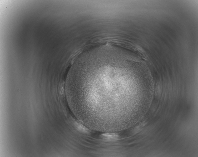 X0000067480477200604101234