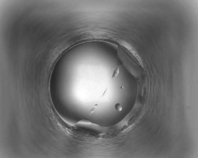 X0000067480481200604101233