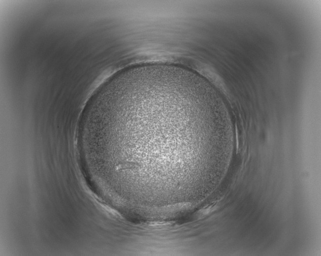 X0000067480483200604101233