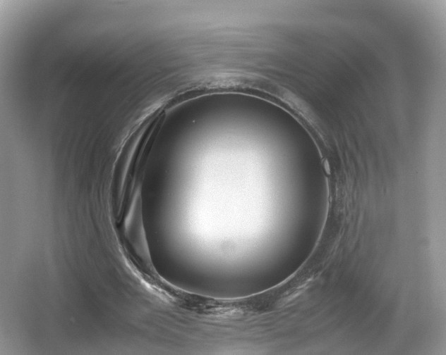 X0000067480485200604101233