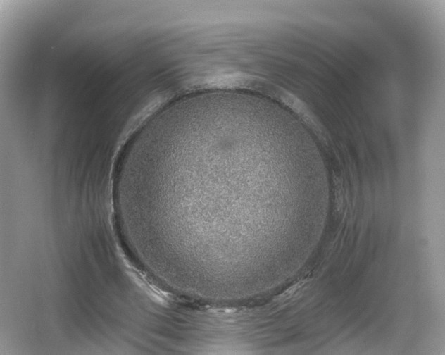 X0000067480486200604101233