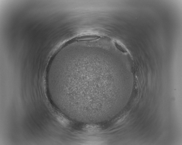 X0000067480487200604101233