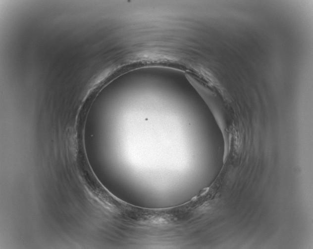 X0000067480488200604101233