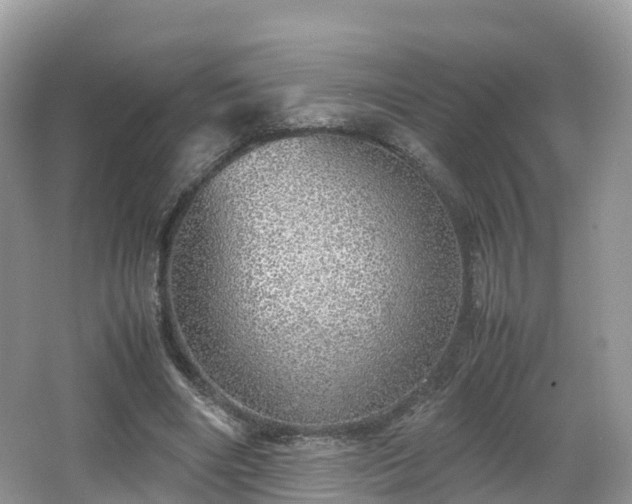 X0000067480490200604101233