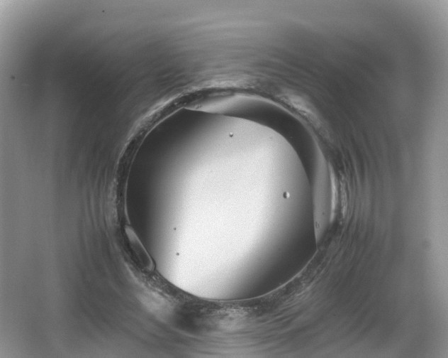 X0000067480492200604101233