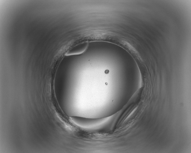 X0000067480493200604101233