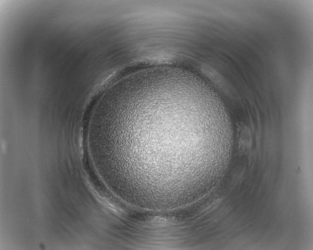 X0000067480494200604101233