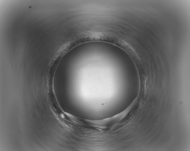 X0000067480496200604101233