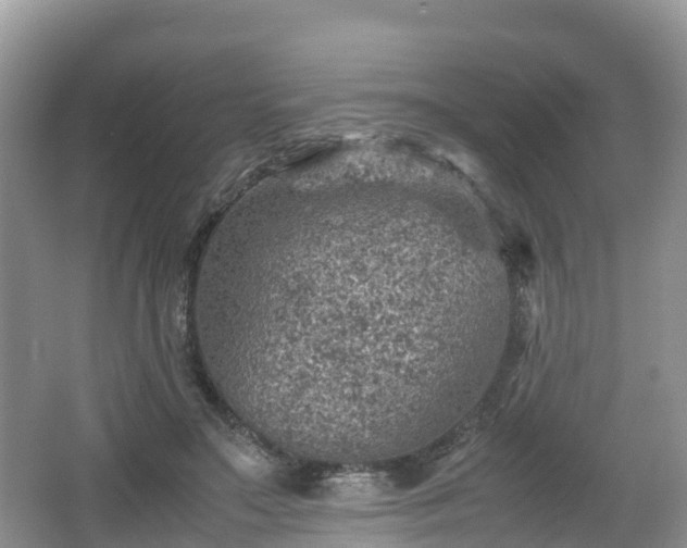 X0000067480499200604101233