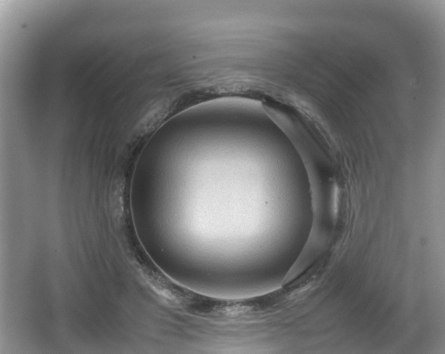 X0000067480501200604101233