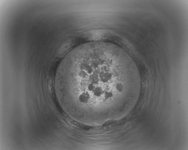 X0000067480503200604101233