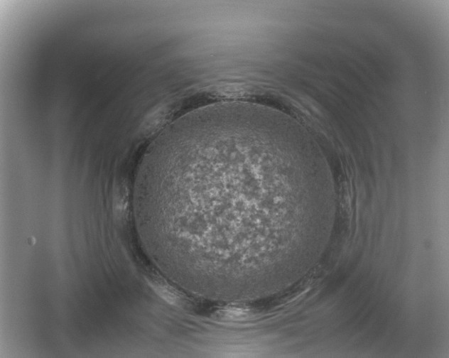 X0000067480507200604101233