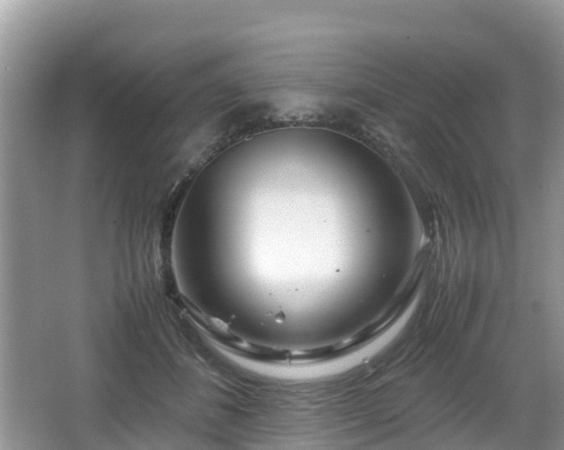 X0000067480508200604101233