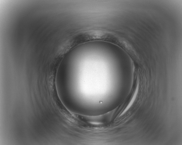 X0000067480509200604101233