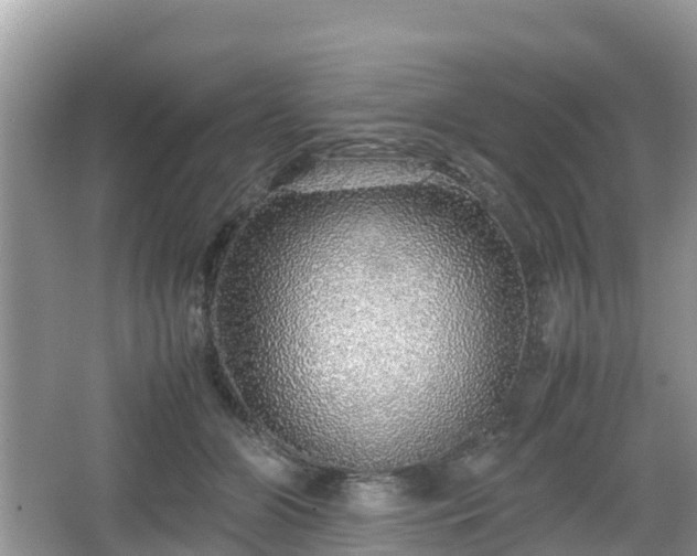 X0000067480510200604101233