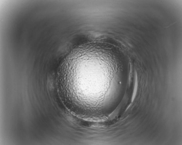 X0000067480515200604101232