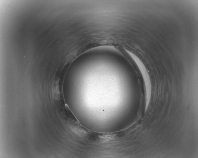 X0000067480516200604101232