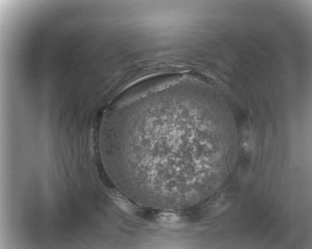 X0000067480519200604101232