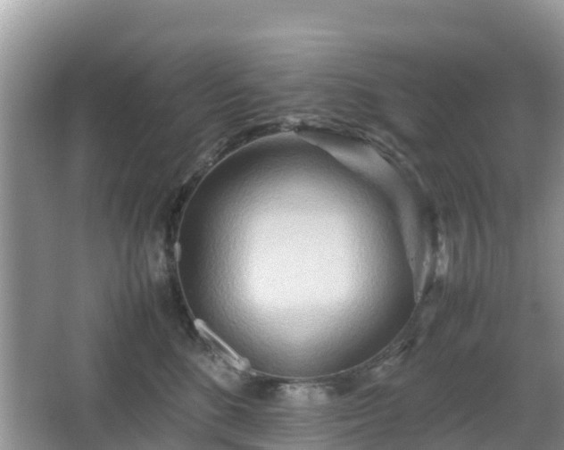 X0000067480520200604101232